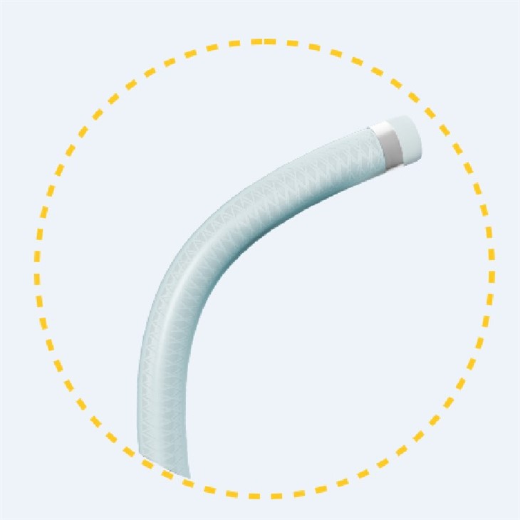 Access Microcatheter